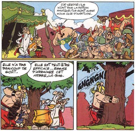 asterix 6